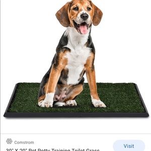 Potty training grass